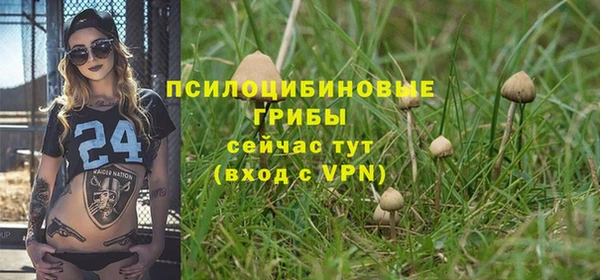 альфа пвп Нефтекумск