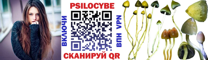 Купить где  Талица  Галлюциногенные грибы Magic Shrooms 